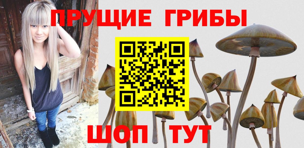 Галлюциногенные грибы мухоморы  Вход с VPN  Кропоткин 